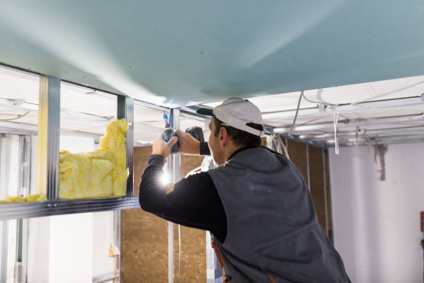 Best Insulation Removal  in Ashland, MO