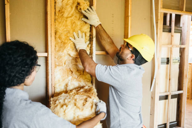 Best Cellulose Insulation  in Ashland, MO