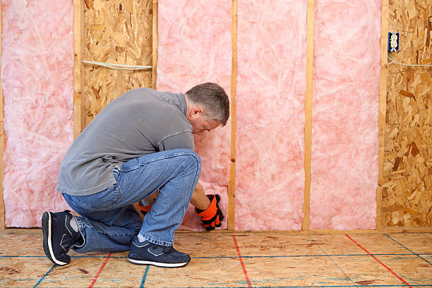 Best Energy-efficient Insulation  in Ashland, MO