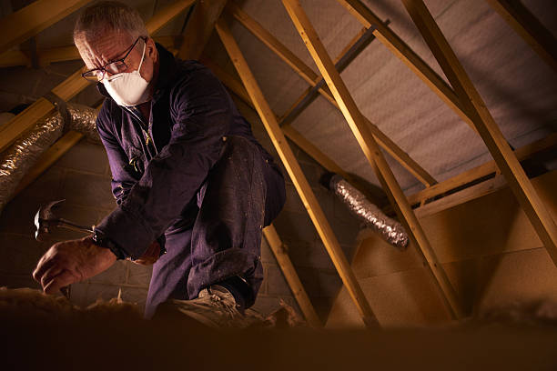 Best Insulation Inspection Services  in Ashland, MO